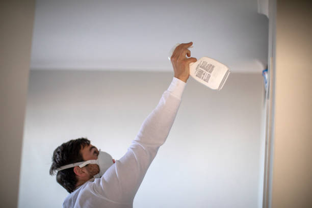 Mold Testing and Removal in Martins Additions, MD
