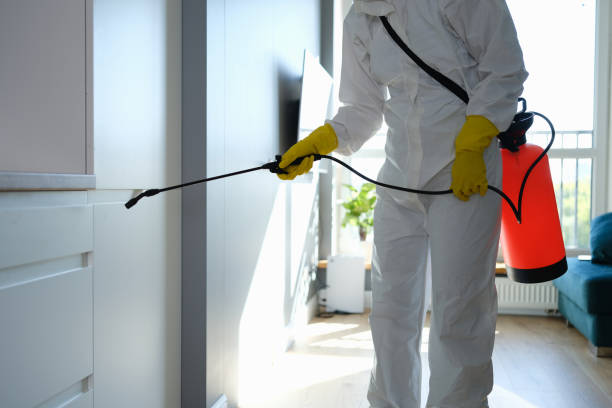 Best Professional Mold Removal  in Martins Additions, MD