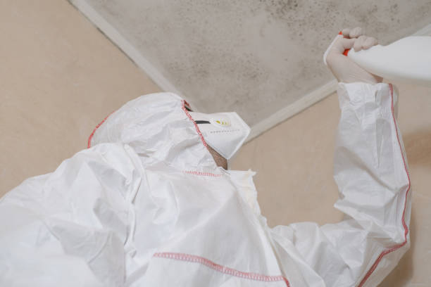 Best Professional Mold Removal  in Martins Additions, MD