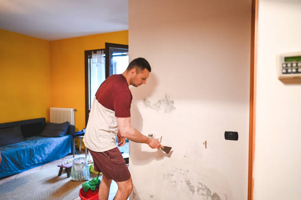 Office Mold Removal Services in Martins Additions, MD