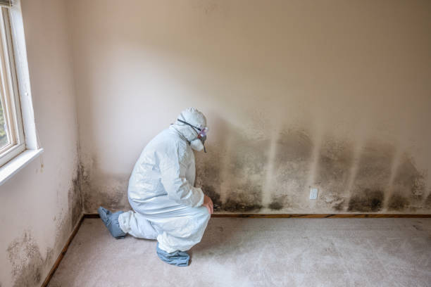 Best Mold Testing and Removal  in Martins Additions, MD