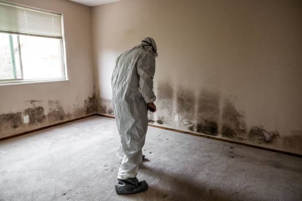 Best Toxic Mold Removal  in Martins Additions, MD
