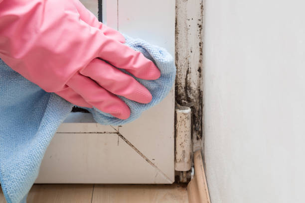 Best Toxic Mold Removal  in Martins Additions, MD